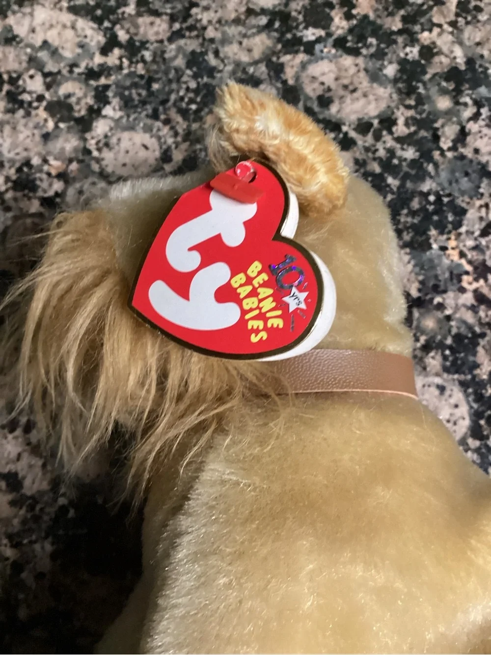 Beanie baby dog “Schnitzel “